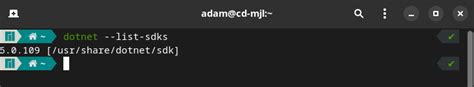 dotnet list sdks|check if dotnet is installed.